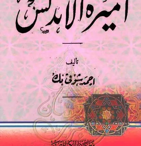 Photo of كتاب أميـرة الأندلـس PDF