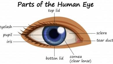 Photo of العين البشرية